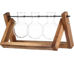 Vaso Hidropônico de Vidro com Moldura de Madeira